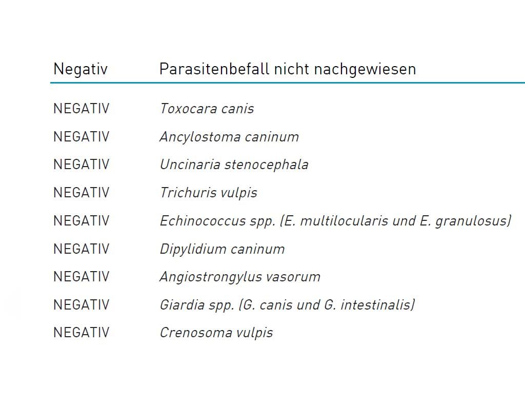 Da ist der Wurm drin - Wurmkur prophylaktisch oder bei Befall?