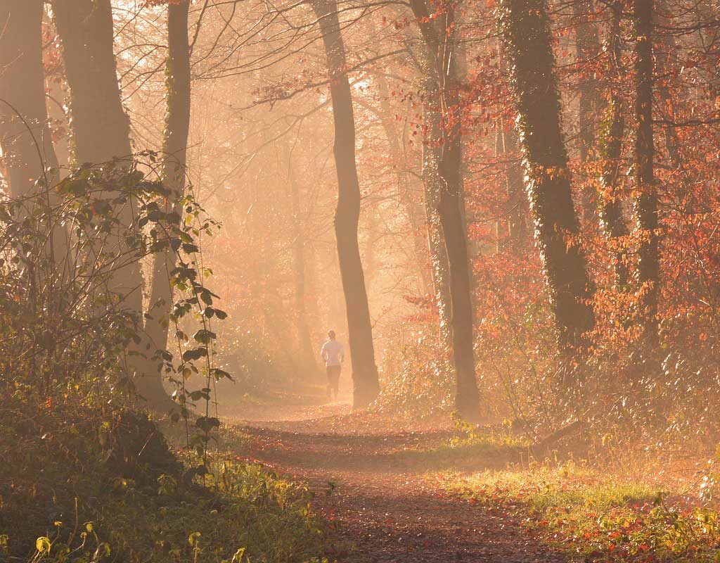 Mann entblößt sich vor Joggerin - Hund beißt zu