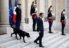 "Nemo" im Élysée-Palast: Macron adoptiert Hund