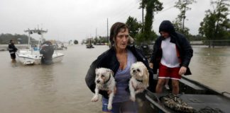 Sturm "Harvey": Mit dem Hund unterm Arm auf der Flucht vor den Fluten