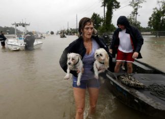 Sturm "Harvey": Mit dem Hund unterm Arm auf der Flucht vor den Fluten