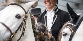 "Hund & Pferd" in Dortmund: Größte Hundeausstellung Deutschlands