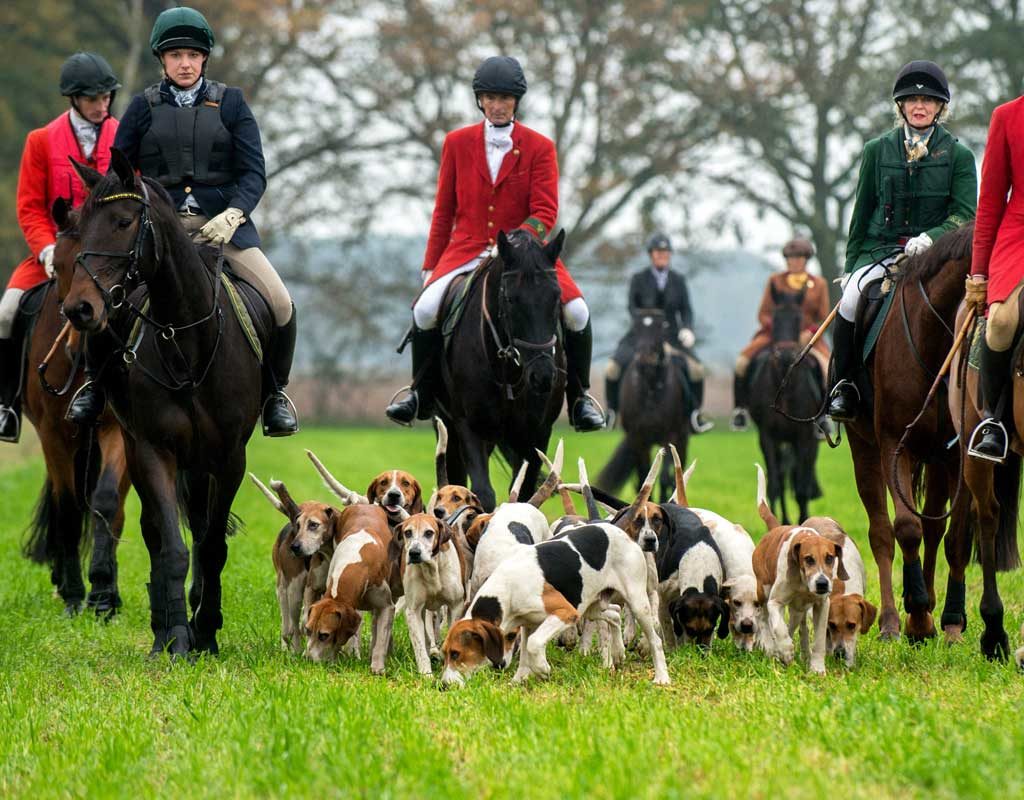 Jagd ohne tote Tiere