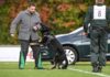 Sitz! Platz! Aus! - Zollhunde müssen sich im Leistungstest bewähren