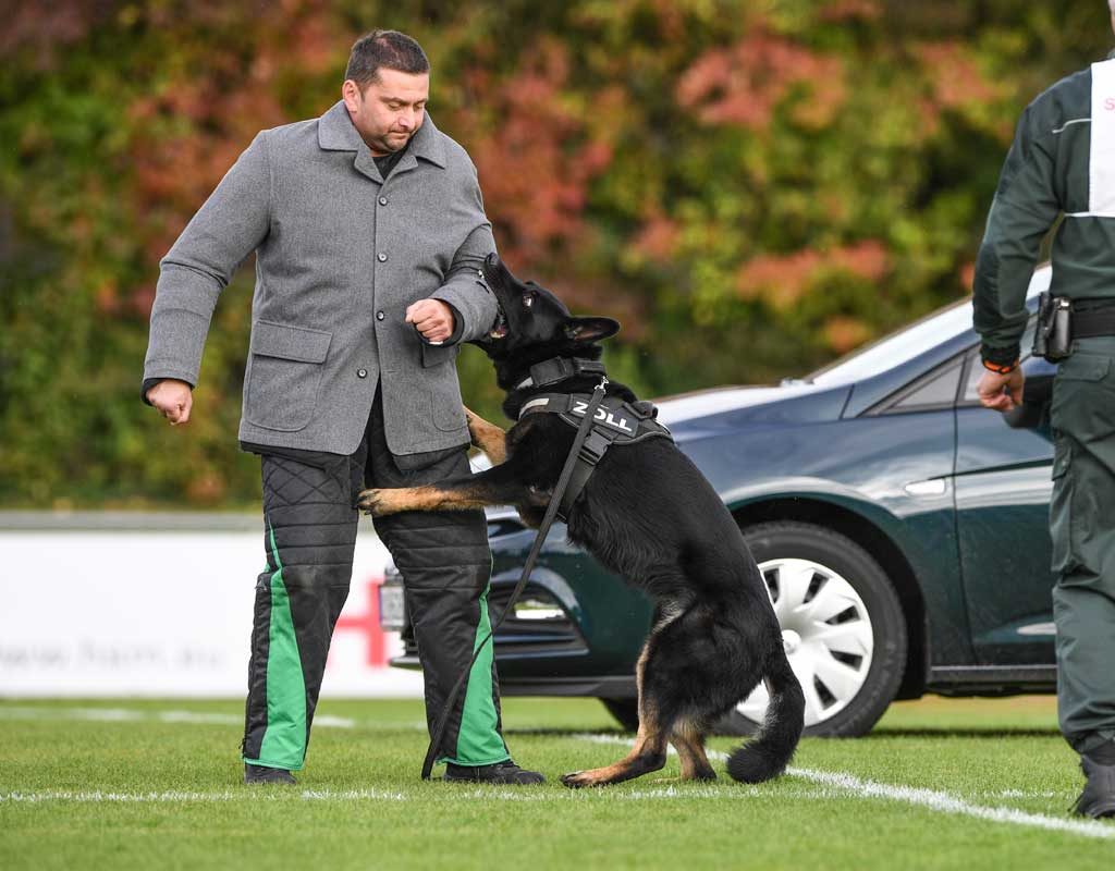 Sitz! Platz! Aus! - Zollhunde müssen sich im Leistungstest bewähren