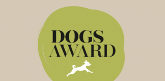 DOGS AWARD 2018: Deutschlands "ältester Hund" kommt aus dem Saarland