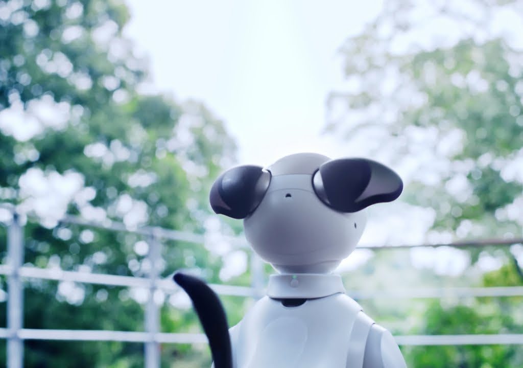 Sony bringt sein Roboterhund zurück - Aibo: Hundeliebe alle drei Stunden