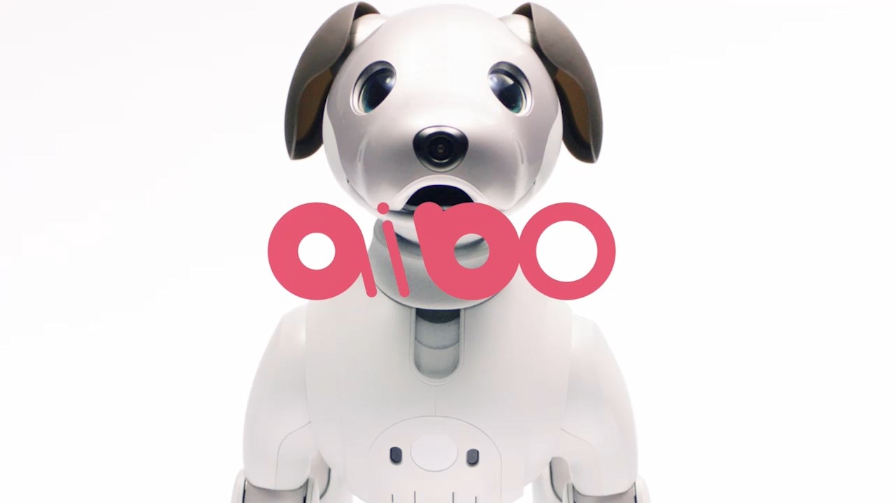 Sony bringt sein Roboterhund zurück - Aibo: Hundeliebe alle drei Stunden