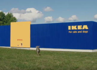 IKEA zimmert jetzt auch für Hunde und Katzen