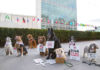 Hunde-Protest vor UN-Hauptsitz in New York