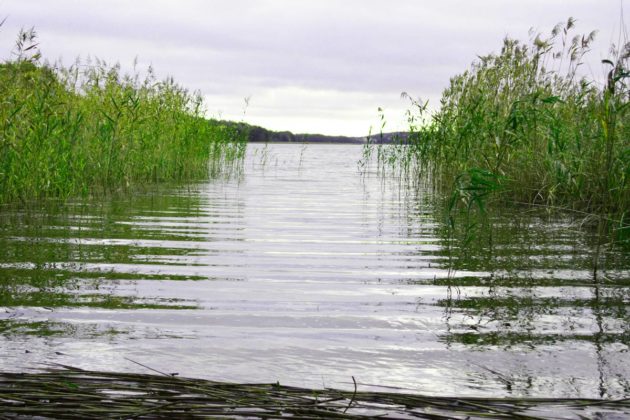 Urlaub in Polen: Kaschubei mit Hund