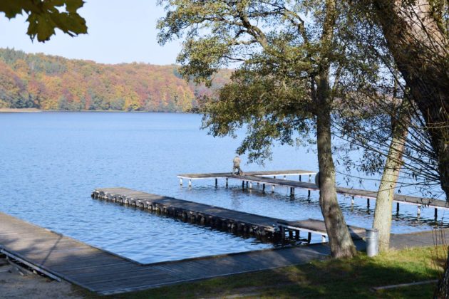 Urlaub in Polen: Kaschubei mit Hund