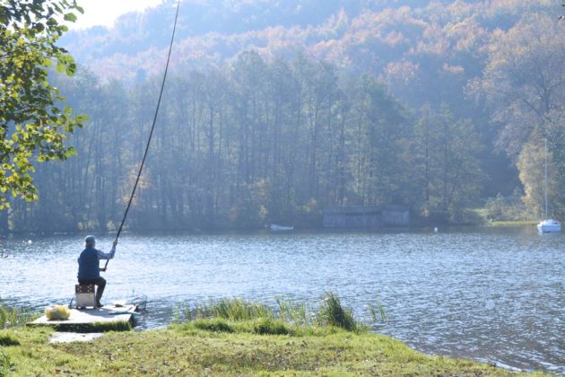 Urlaub in Polen: Kaschubei mit Hund