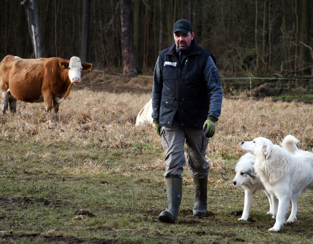 Vorsicht Hund! - Herdenschutz verlangt Rücksicht