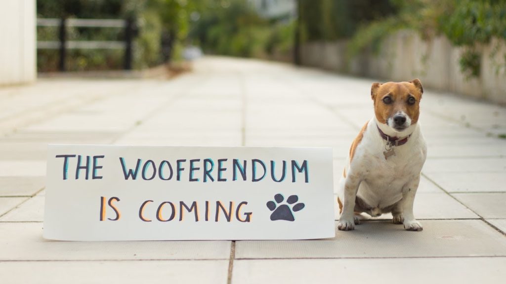 Wooferendum: Londoner Hunde demonstrieren gegen "Brexshit"