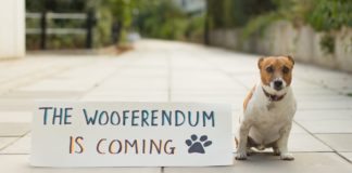 Wooferendum: Londoner Hunde demonstrieren gegen "Brexshit"