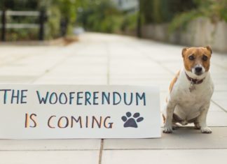 Wooferendum: Londoner Hunde demonstrieren gegen "Brexshit"