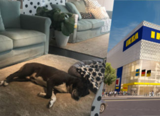 Auf alles eingerichtet: IKEA-Catania rettet Hunde vor dem Sturm