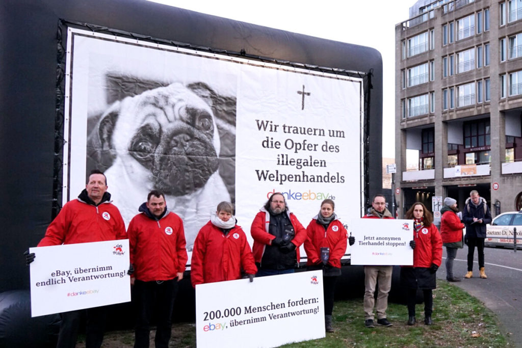 Köln: Protest gegen anonymen Welpenhandel auf eBay Kleinanzeigen