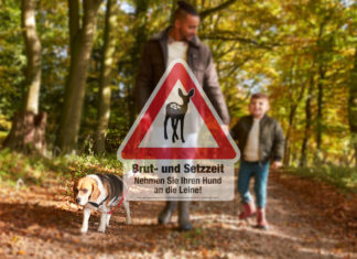 Brut- und Setzzeit: Leinenpflicht für Hunde