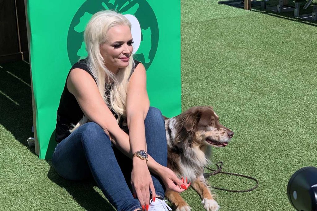 Daniela Katzenberger eröffnet schwimmende Hundewiese