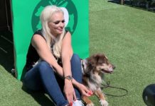 Daniela Katzenberger eröffnet schwimmende Hundewiese